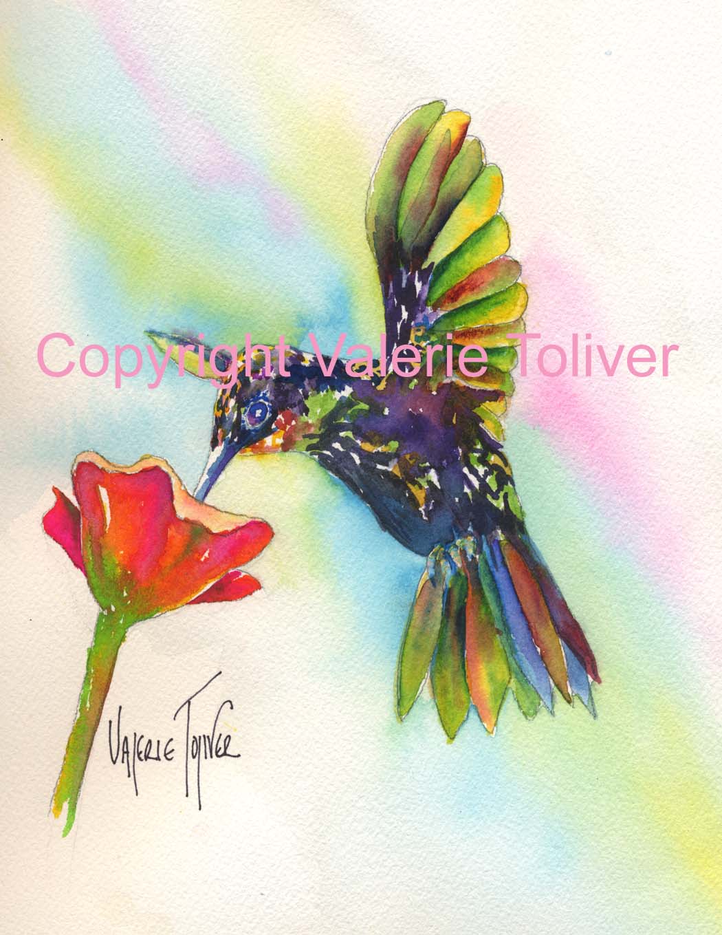 Humming Bird Watercolor Painting by Valerie Toliver